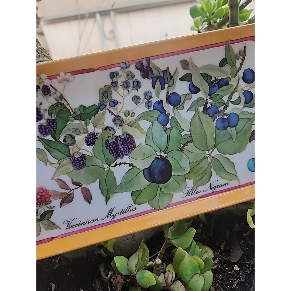 Atelier Michele Trumel Botanical Serving Tray Melamine 15 X 5.75 In. Italy - Picture 4 of 8
